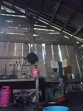 Heli_pusy webcam