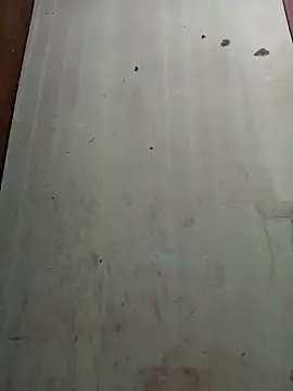 Carvedick webcam