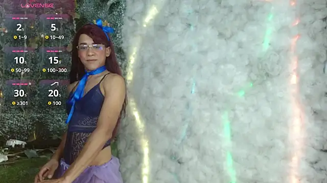 Valensmile webcam