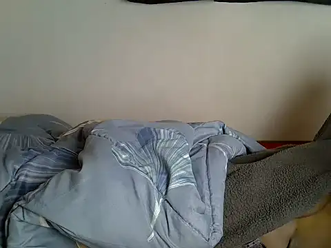 zelyp webcam