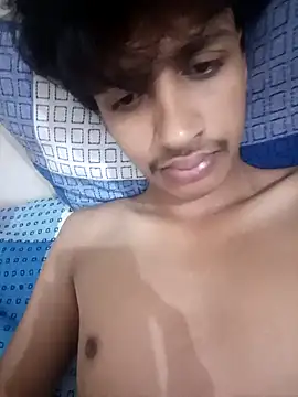 silverarmy5 webcam