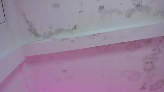Rihanna_hotx webcam