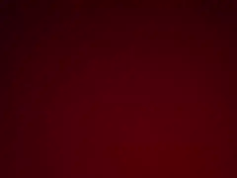 Rato250 webcam