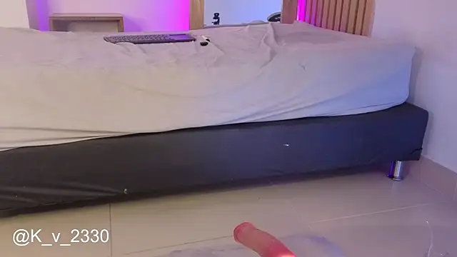 sofiesoft webcam