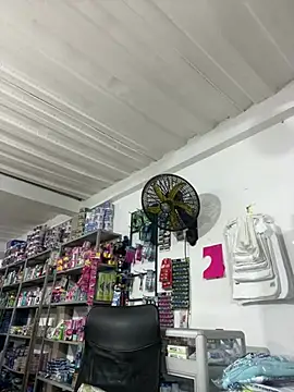 LuzDream webcam