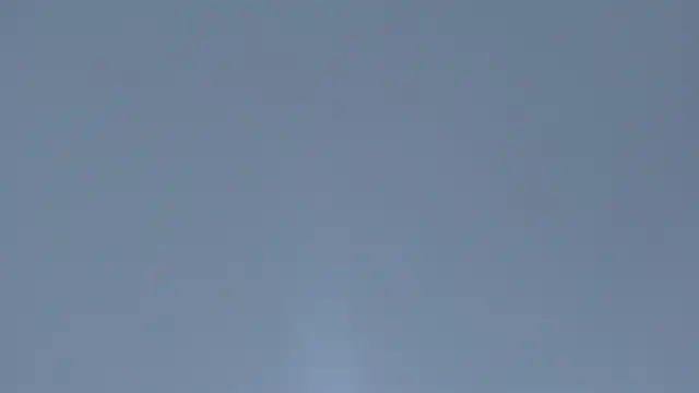 rousemonroe webcam