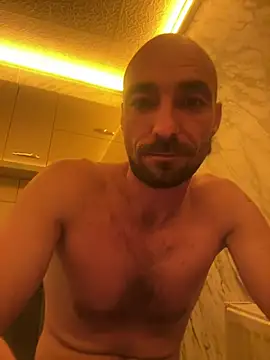 17vio webcam