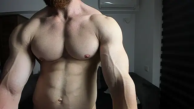 ZkkBlitz webcam