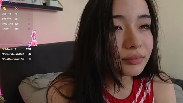 Noiry_Vuvez webcam