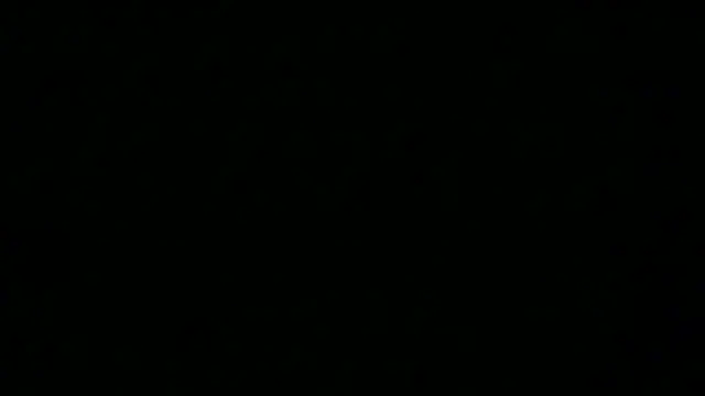SamuelTal webcam