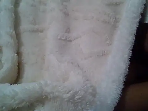 Tehiller webcam