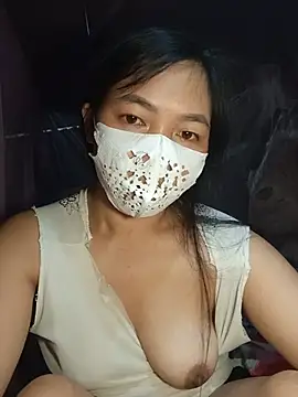 Hiha-nn webcam