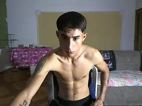 CowboyArt3 webcam