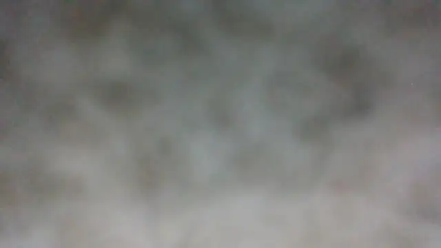 Angelstarr2 webcam