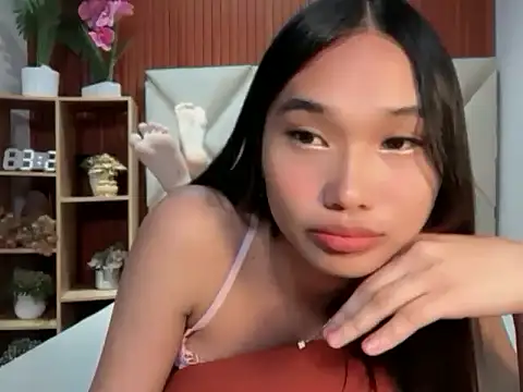 universal_cutie webcam