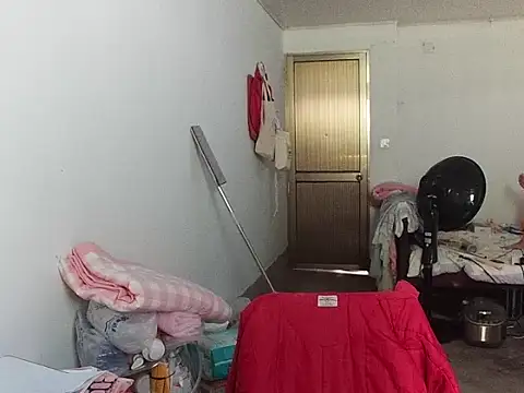 RebelAura webcam