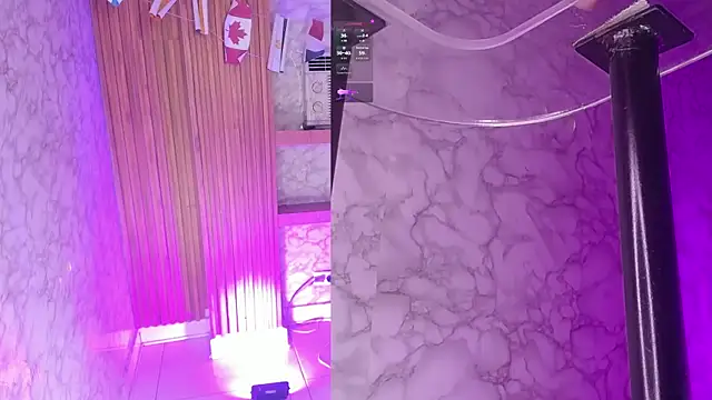 AriHale_ webcam