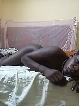 CRIBANN webcam