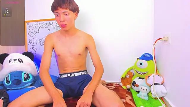 Ely_king webcam