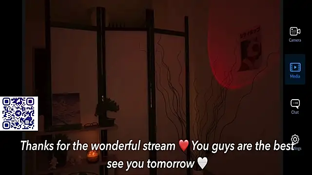 secrettape webcam
