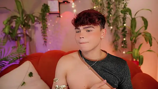 PRINCE_STEV webcam