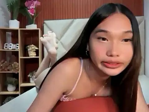 universal_cutie webcam