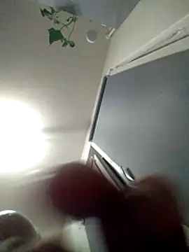 bimuzOVAkraj webcam