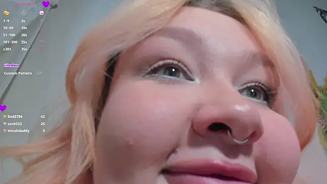 LilyLike webcam