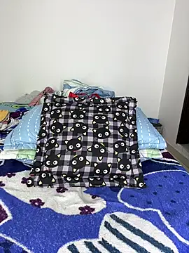 sandylau webcam