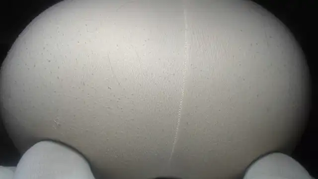 prettyangelsquirt webcam