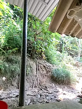 WeaklyMop webcam