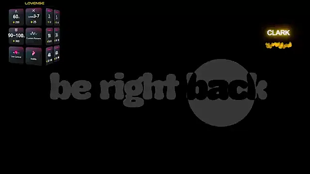 clarkdangerous webcam