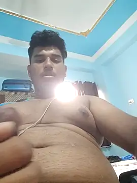 OnceaCricketer webcam