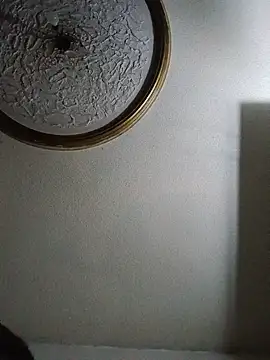 Oliver_LA webcam