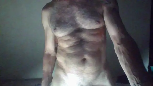 CaptainFox webcam