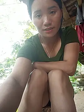 Td3di webcam