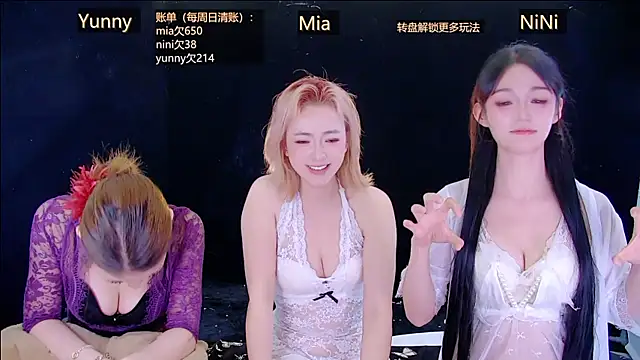 MiNi-U webcam