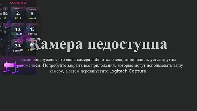 koyoomi webcam