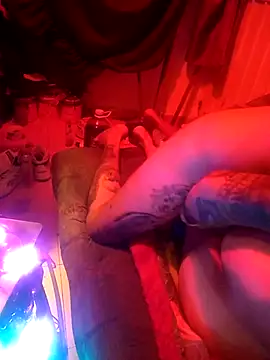 destroassbig2 webcam