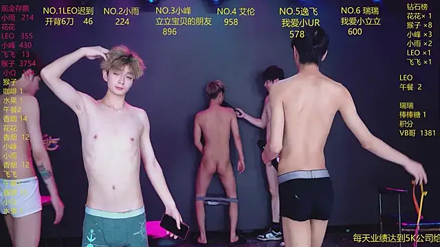 AAA-winner webcam