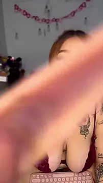 tetonic_04 webcam