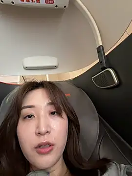 KK-328 webcam