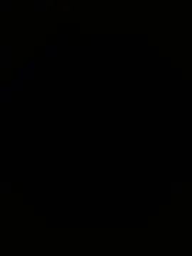 Vanneskk webcam
