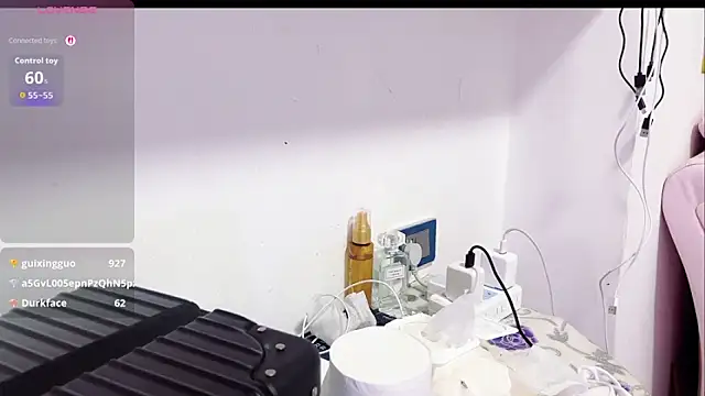 EE-01 webcam