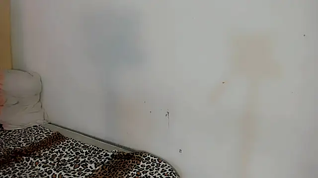 Ladanisha webcam