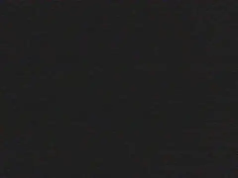 shugabaibe webcam