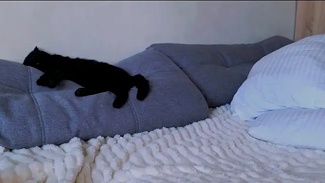 ElenaMonroe webcam