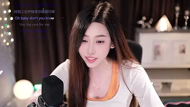 SleepArtist webcam