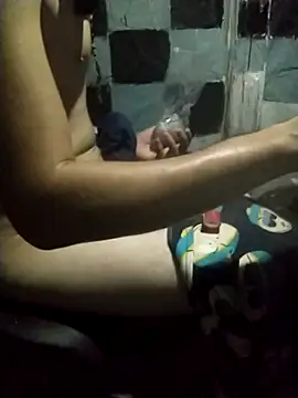 Wero4200 webcam