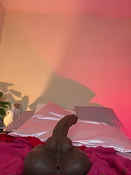 haily_babe webcam